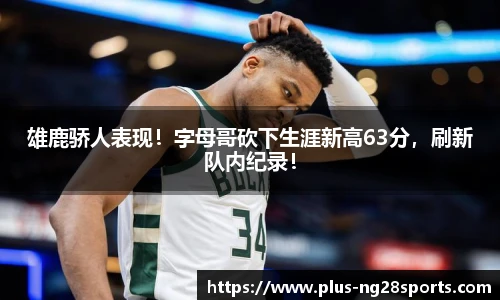 ng体育官网