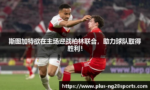 ng体育