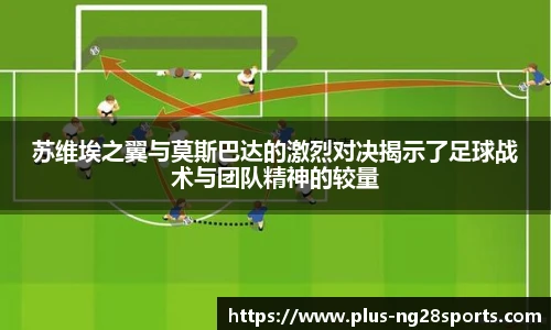 ng体育官方网站
