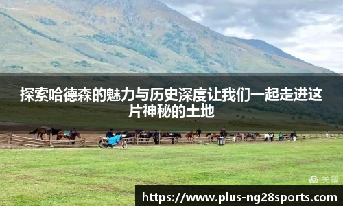 ng体育官网