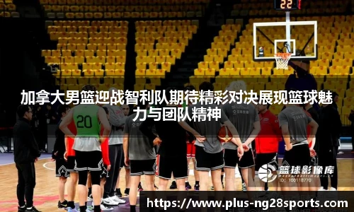 ng体育官方网站