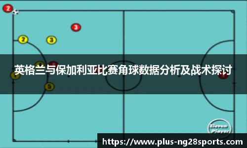 ng体育